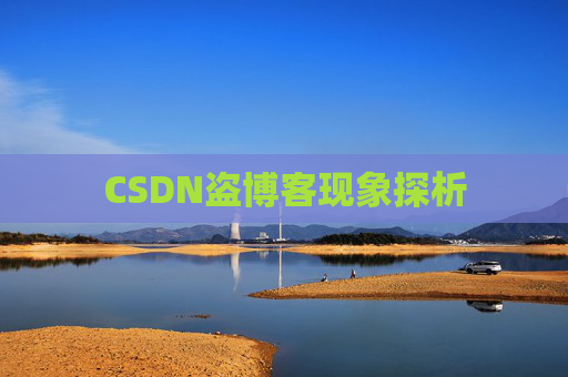 CSDN盗博客现象探析